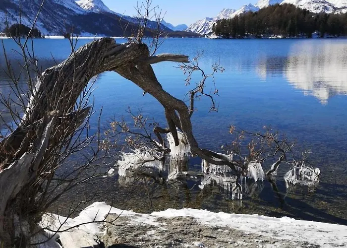 Apartamento Chesa Marias By Interhome *