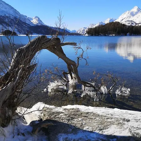 Apartament Chesa Marias By Interhome *